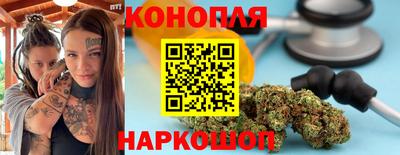 прущие грибы Малоярославец